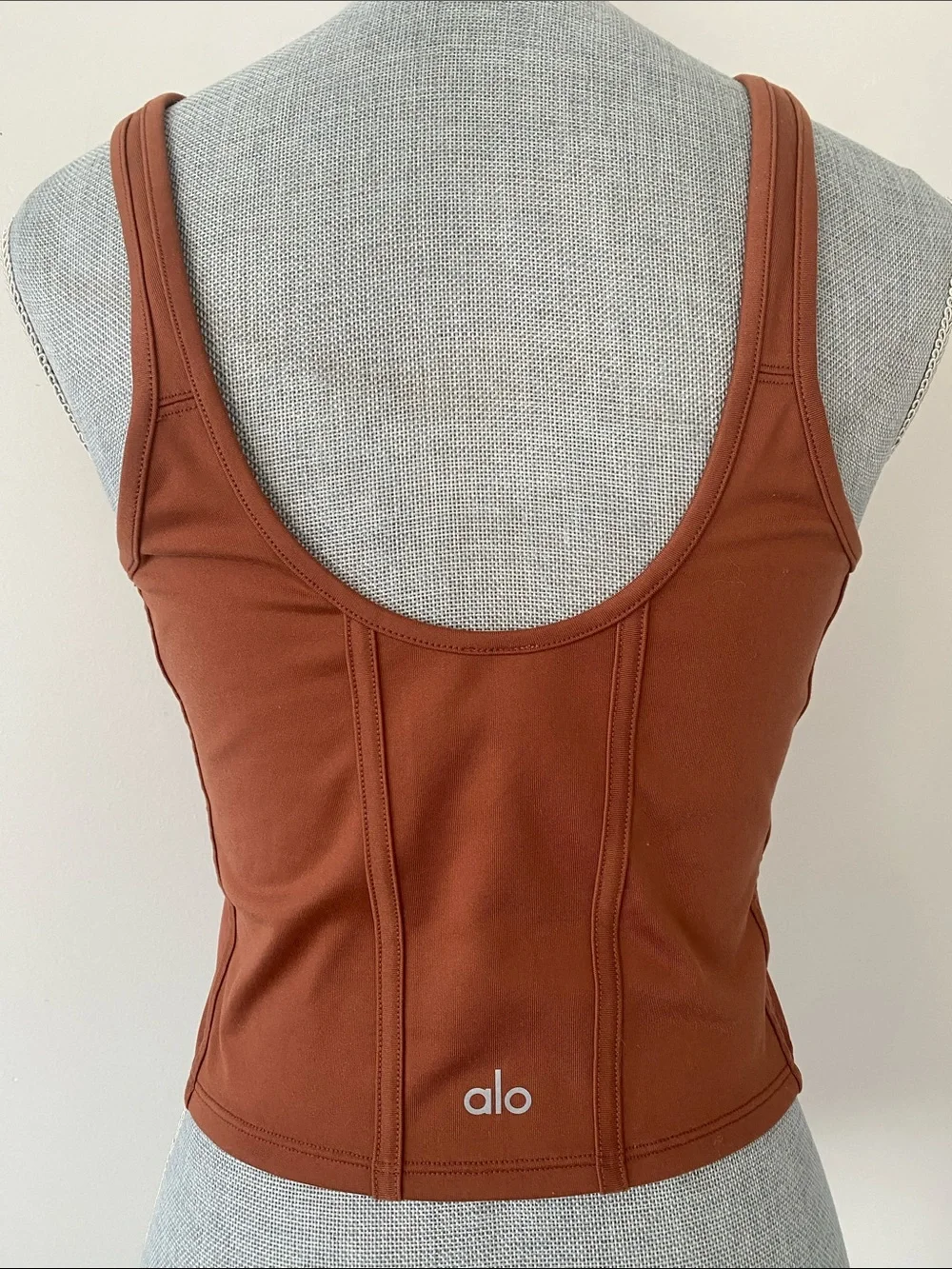 ALO Airbrush Mesh Corset Tank Top Wireless in Rust Sz L Athletic Sporty Comfy